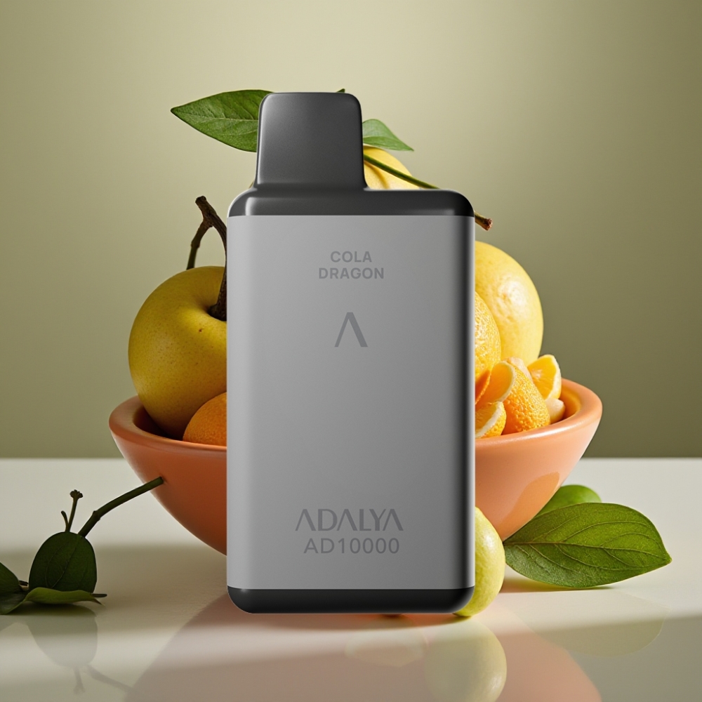 Adalya AD 10000 Puffs Disposable Vape Space Gray USB-C Engels Heer