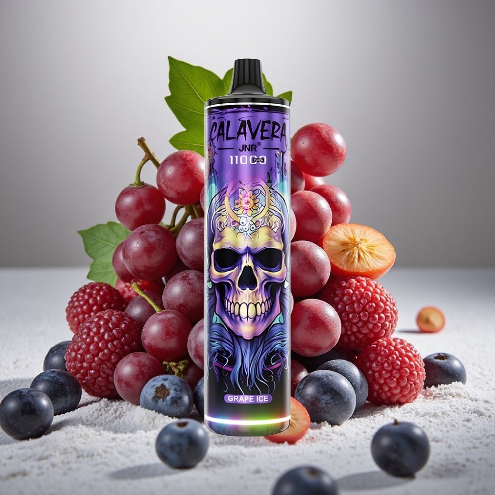 JNR Calavera 11000 Puffs Disposable Vape Grape Ice Type-C 850mAh 21ml