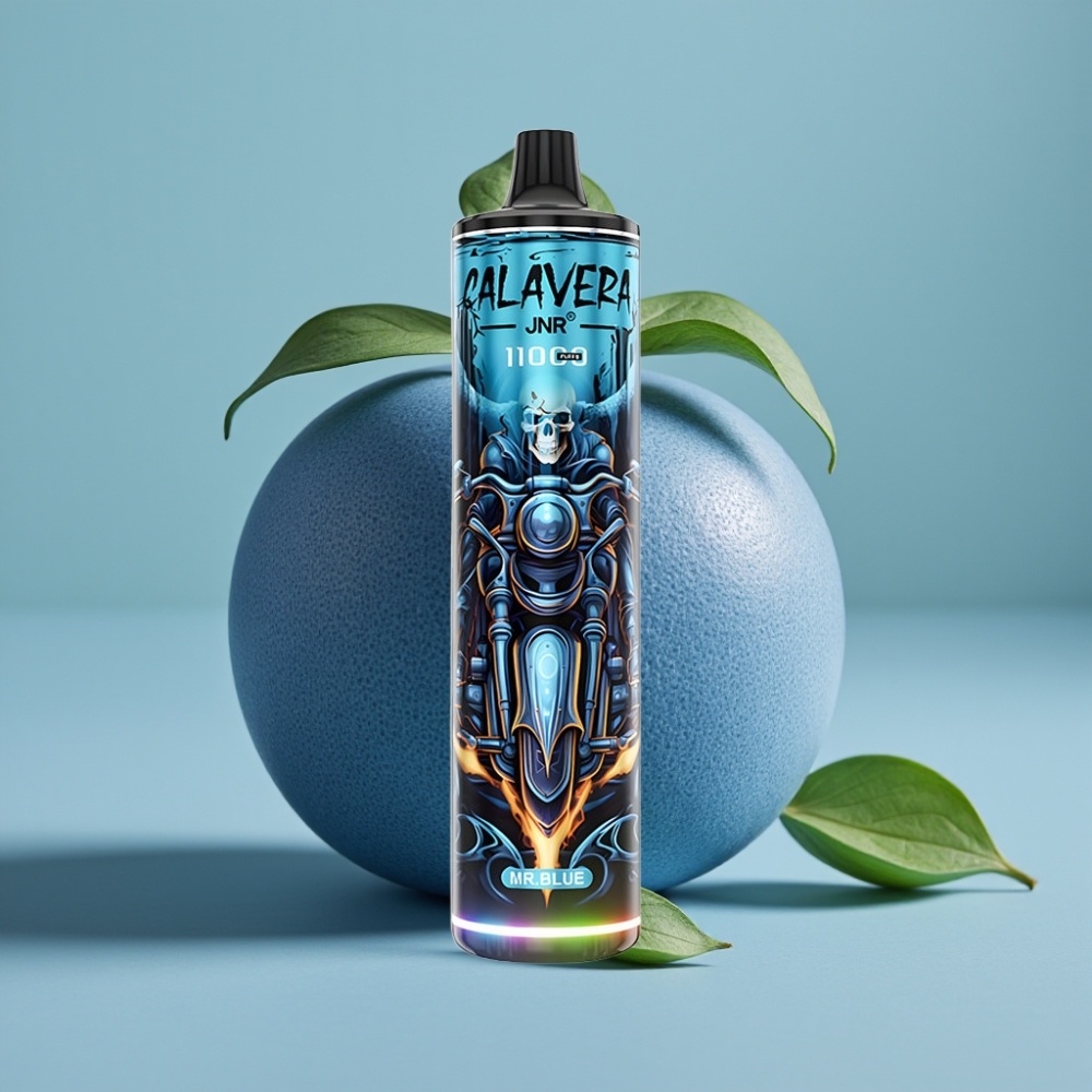 JNR Calavera 11000 Puffs Disposable Vape Mr Blue Type-C 21ml