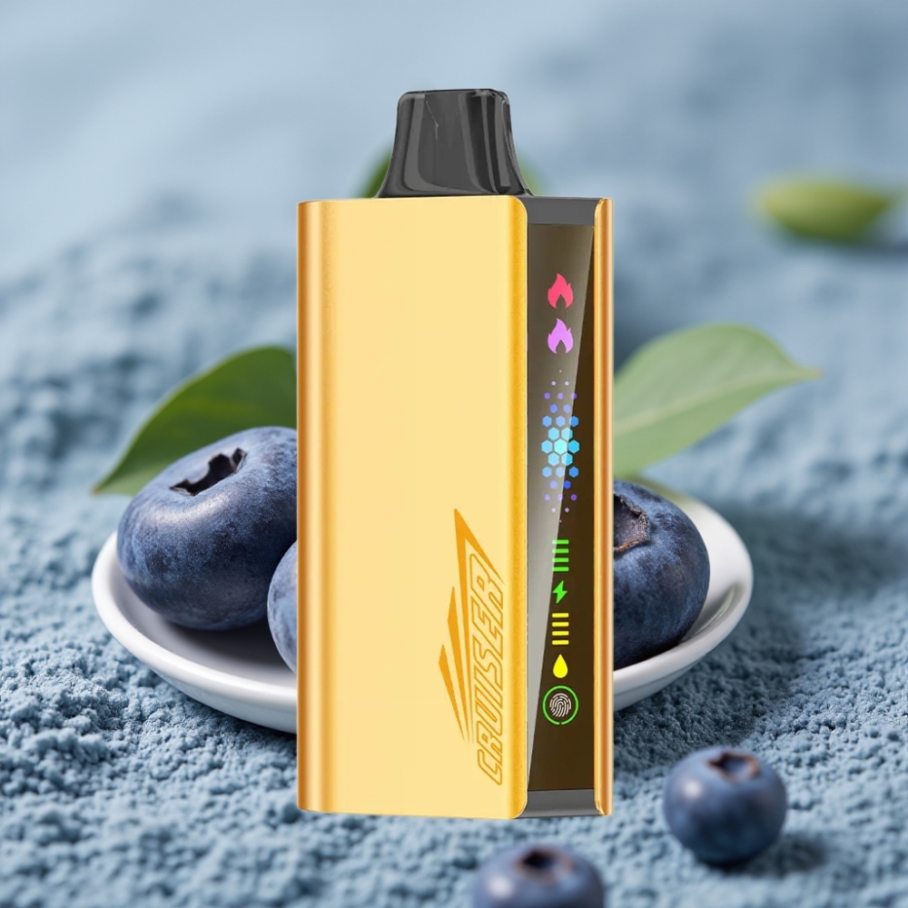 JNR Cruiser 12000 Puffs No-Charge 3500mAh Dual Mesh Blueberry Blast