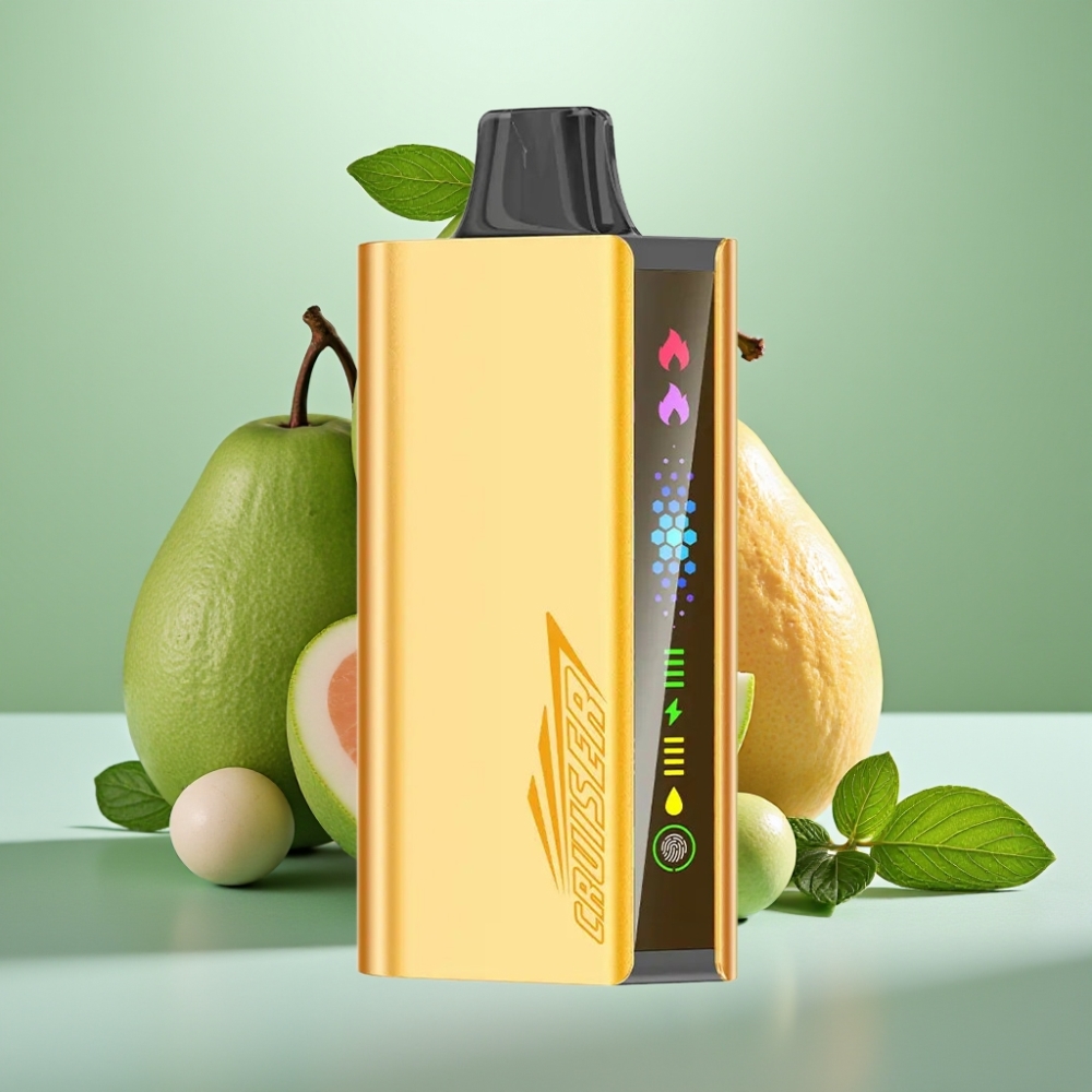 JNR Cruiser 12000 Puffs No-Charge 3500mAh Dual Mesh Disposable Vape Cool Mint