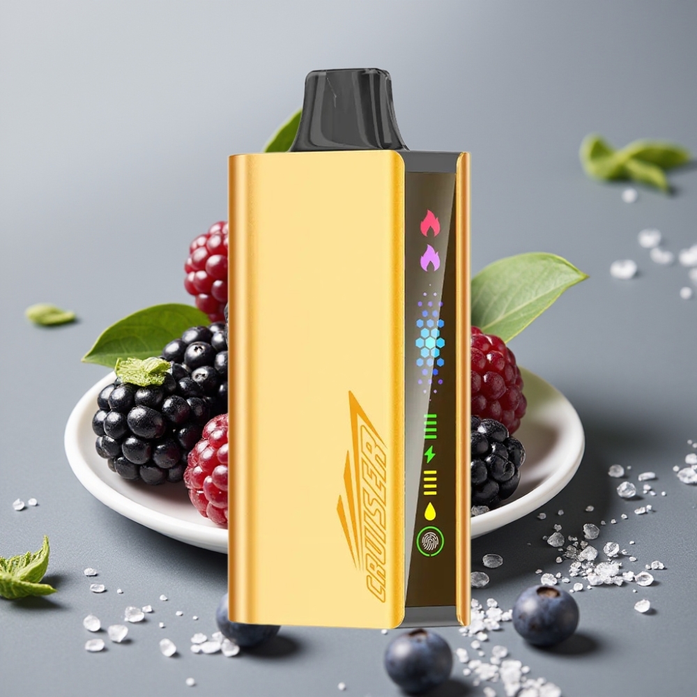 JNR Cruiser 12000 Puffs No-Charge Dual Mesh Disposable Vape Blackberry Ice