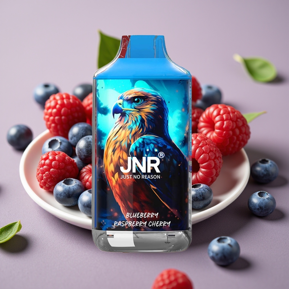 JNR Falcon 16000 Puffs 22ml Dual Mesh Blueberry Raspberry Cherry