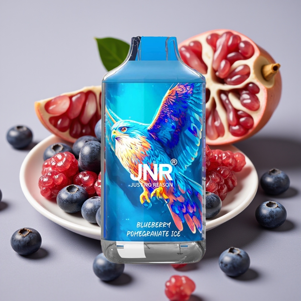 JNR Falcon 16000 Puffs 22ml Dual Mesh Type C Blueberry Pomegranate Ice