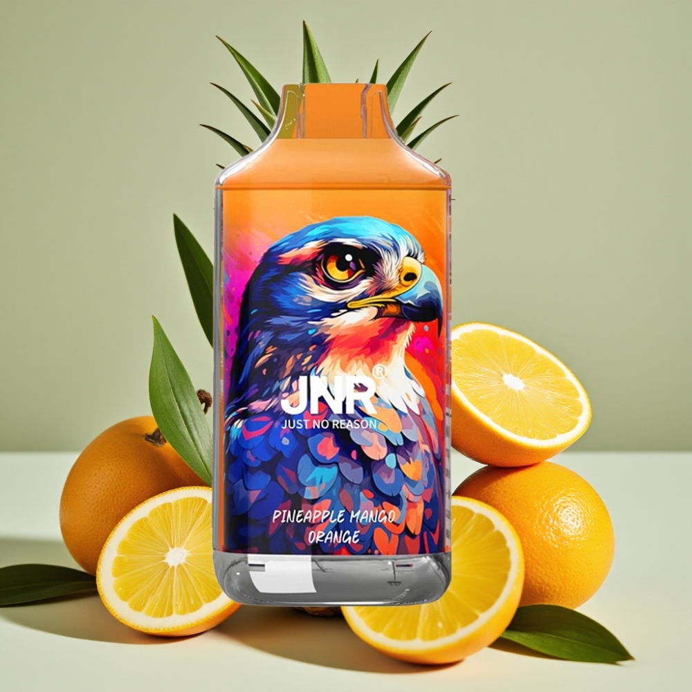 JNR Falcon 16000 Puffs 22ml Dual Mesh Type C Smart LED Belgie vape leverancier