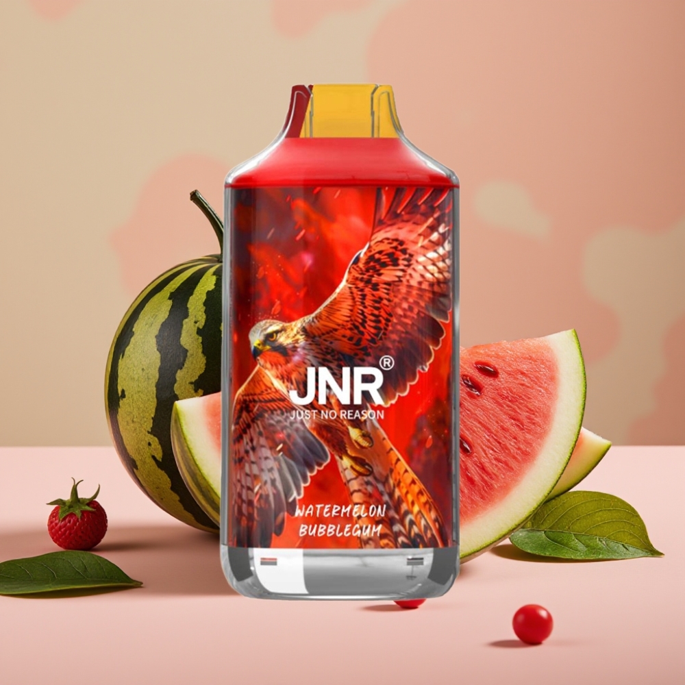 JNR Falcon 16000 Puffs 22ml Dual Mesh Type C Watermelon Bubblegum