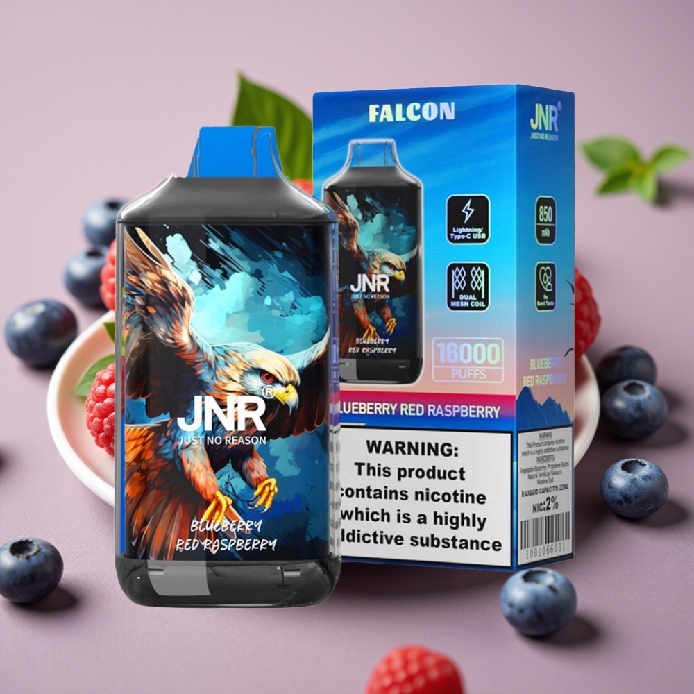 JNR Falcon 16000 Puffs Dual Mesh Coil 22ml Smart LED Display