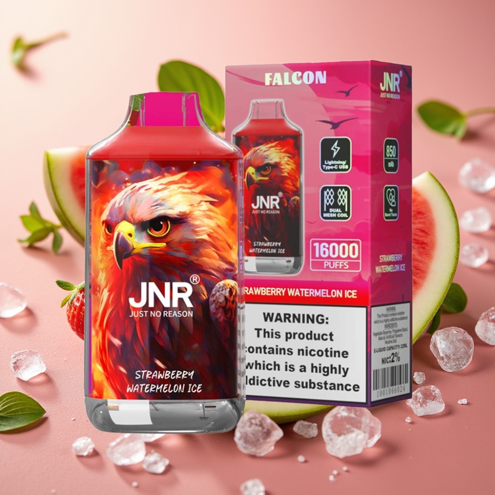 JNR Falcon 16000 Puffs Dual Mesh Coil Type C 22ml Strawberry Watermelon Ice