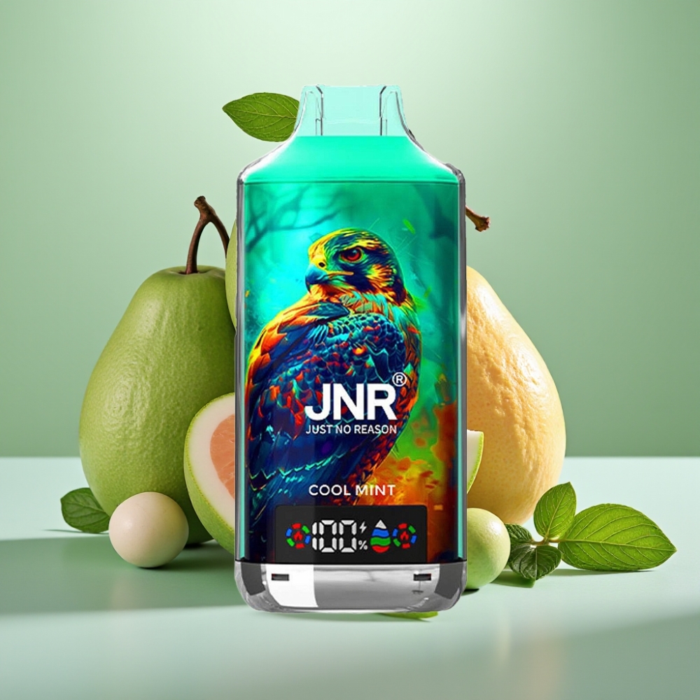 JNR Falcon X 18000 Puffs 24ml Dual Mesh Type-C Cool Mint