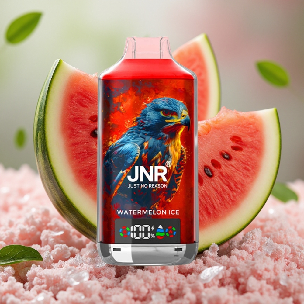 JNR Falcon X 18000 Puffs 24ml Dual Mesh Watermelon Ice Belgie vape leverancier