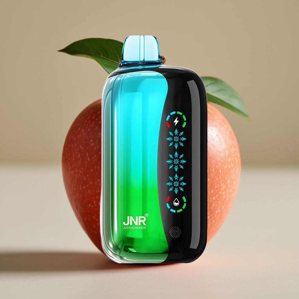 JNR Flex Ice 21000 Puffs Aanpasbare IJs & Touch Screen Disposable Vape