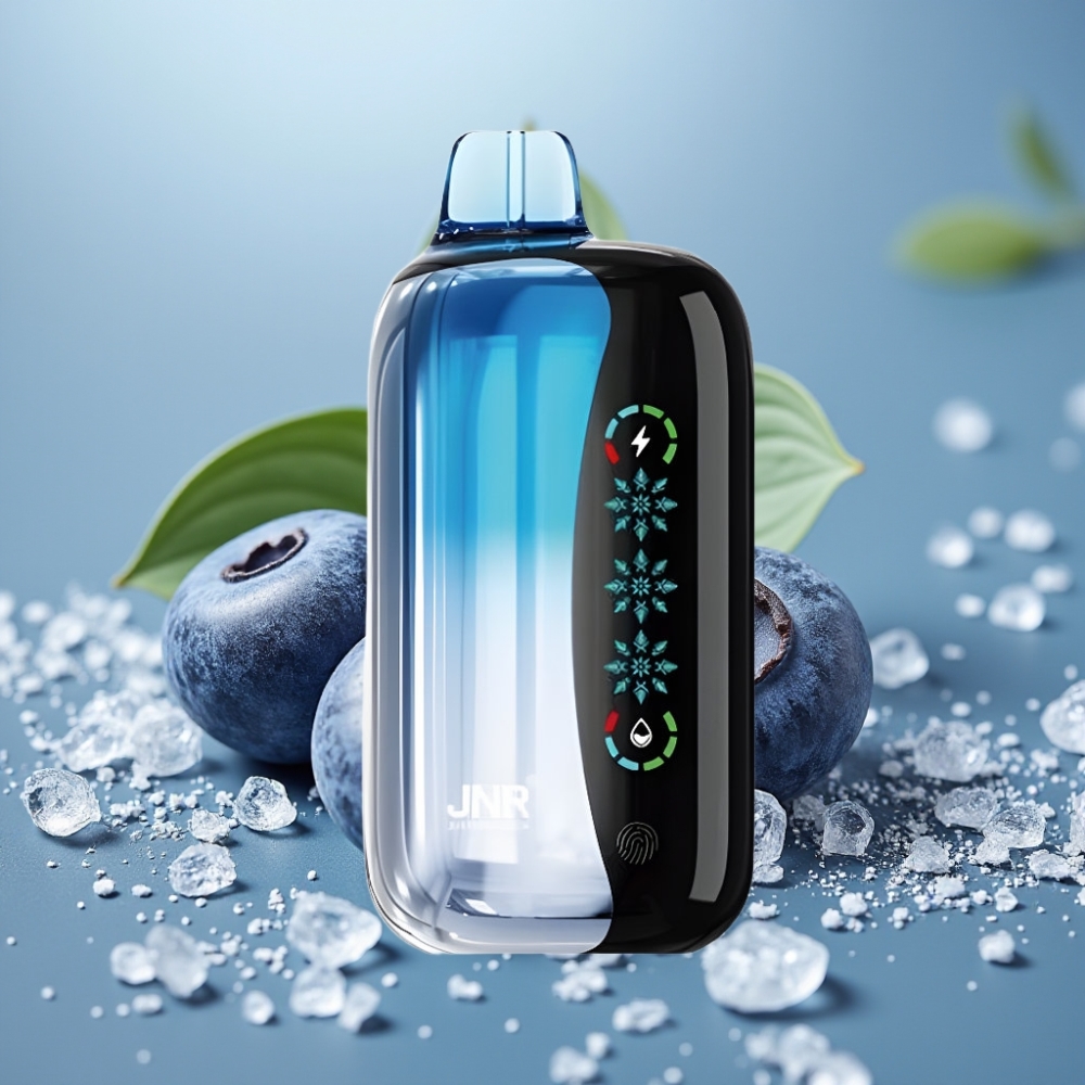 JNR Flex Ice 21000 Puffs Aanpasbare Ijs & Touch Screen Bosbes-ijs