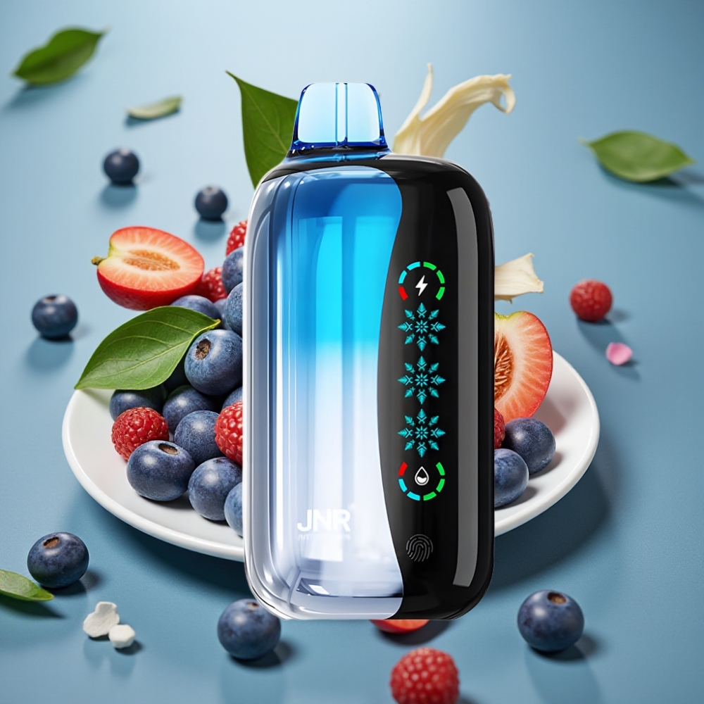 JNR Flex Ice 21000 Puffs Ice Adjustable Touch Screen Dual Mesh