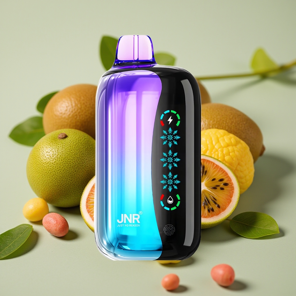 JNR Flex Ice 21000 Puffs Touch Screen Type-C Dual Mesh Belgie vape leverancier