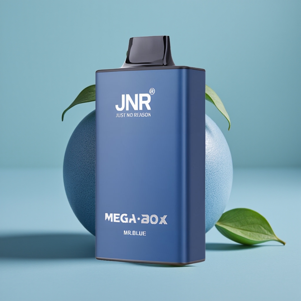 JNR Mega Box 25000 Puffs 30ml 850mAh Dual Mesh Disposable Vape Mr Blue