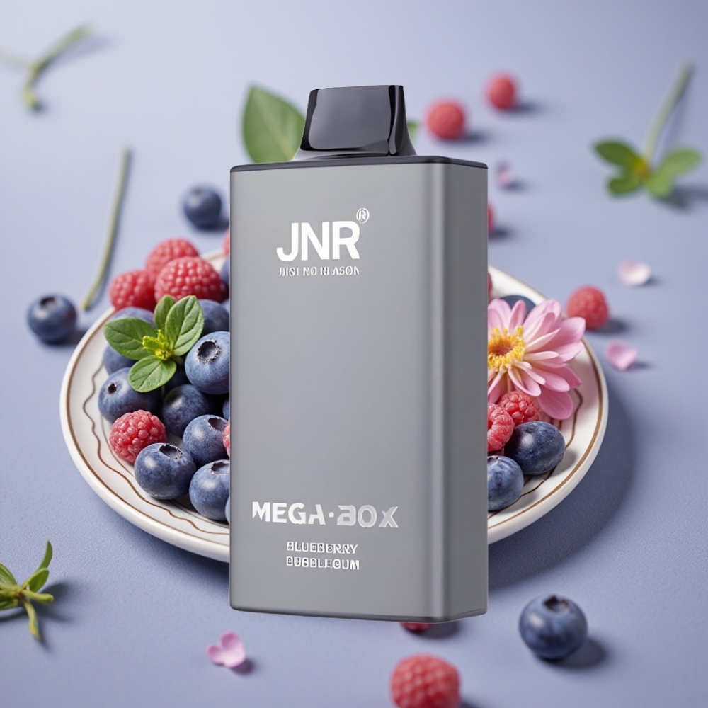 JNR Mega Box 25000 Puffs 30ml Dual Mesh Disposable Vape Blueberry Bubblegum