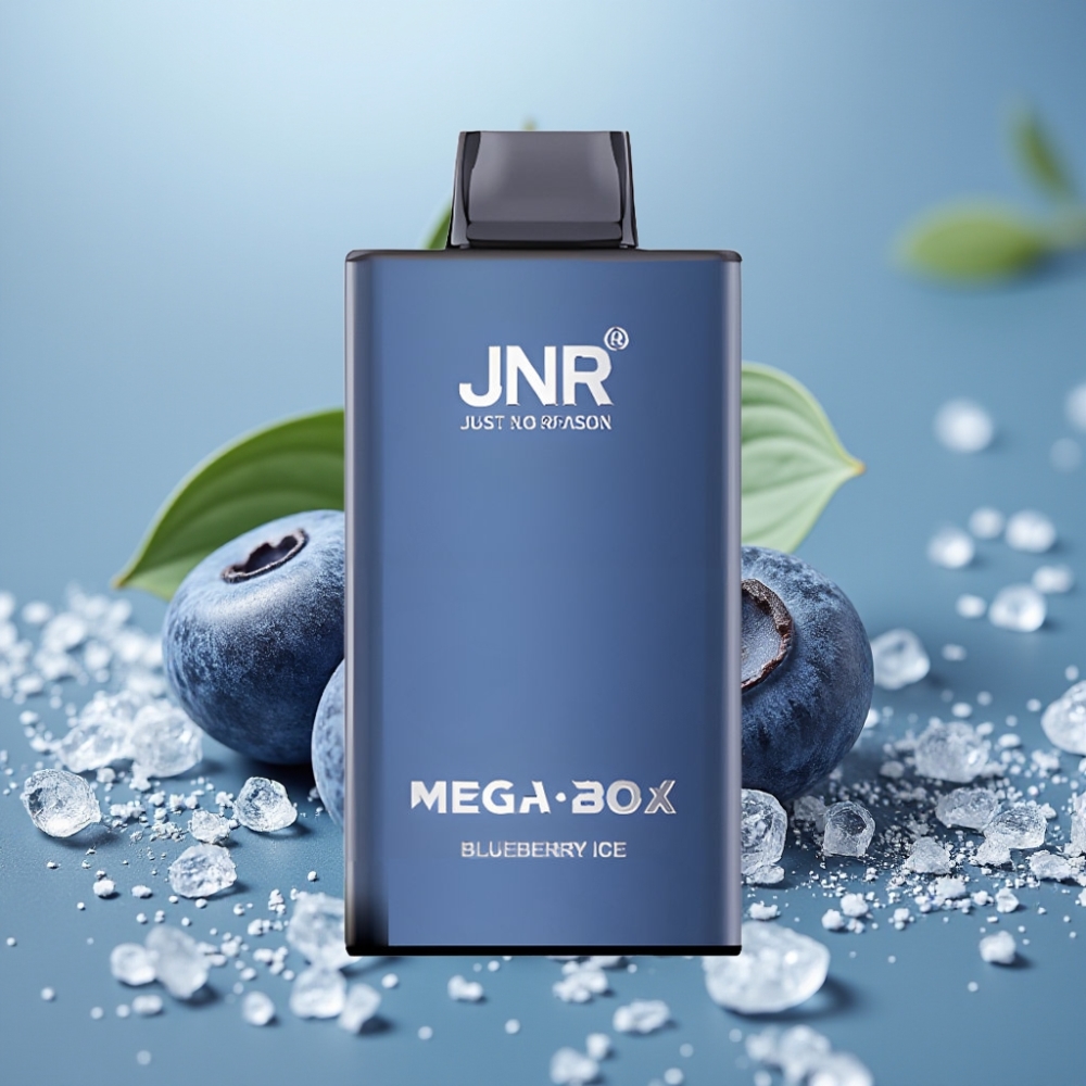 JNR Mega Box 25000 Puffs 30ml Dual Mesh Disposable Vape Blueberry Ice