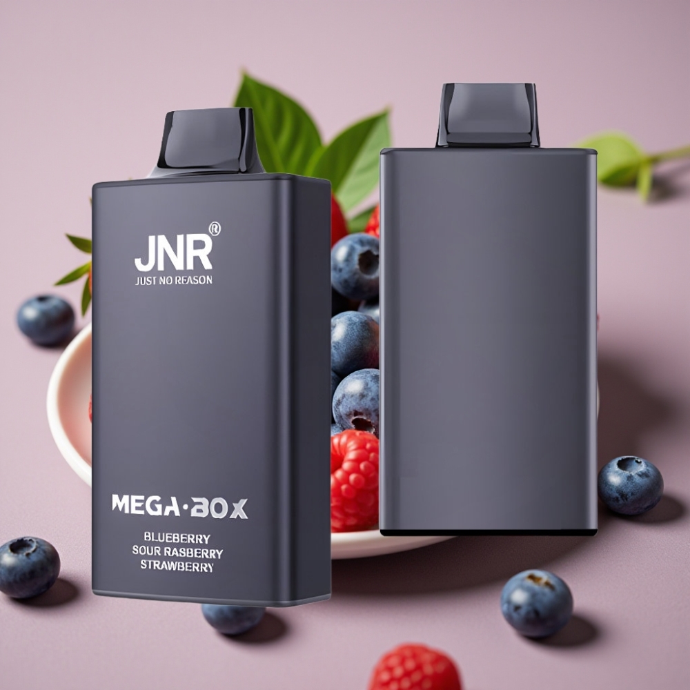 JNR Mega Box 25000 Puffs 30ml Dual Mesh Type-C Disposable Vape Blueberry Sour Raspberry Strawberry