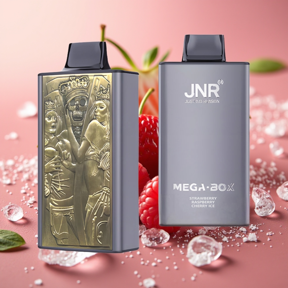 JNR Mega Box 25000 Puffs 30ml Dual Mesh Type-C Disposable Vape Strawberry Raspberry Cherry Ice