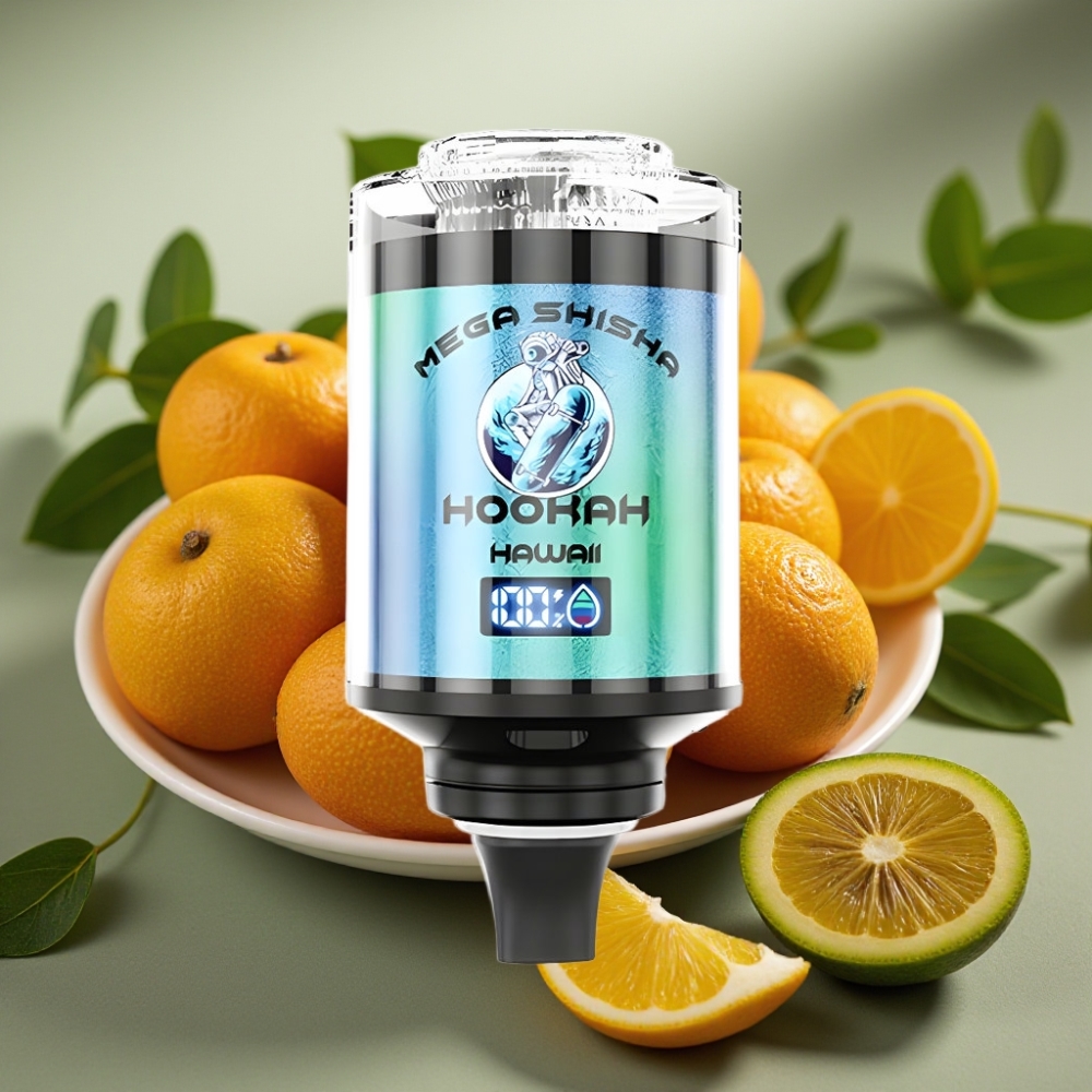 JNR Mega Shisha Hookah 100K Desktop 60ml 2200mAh Type-C Hawaii