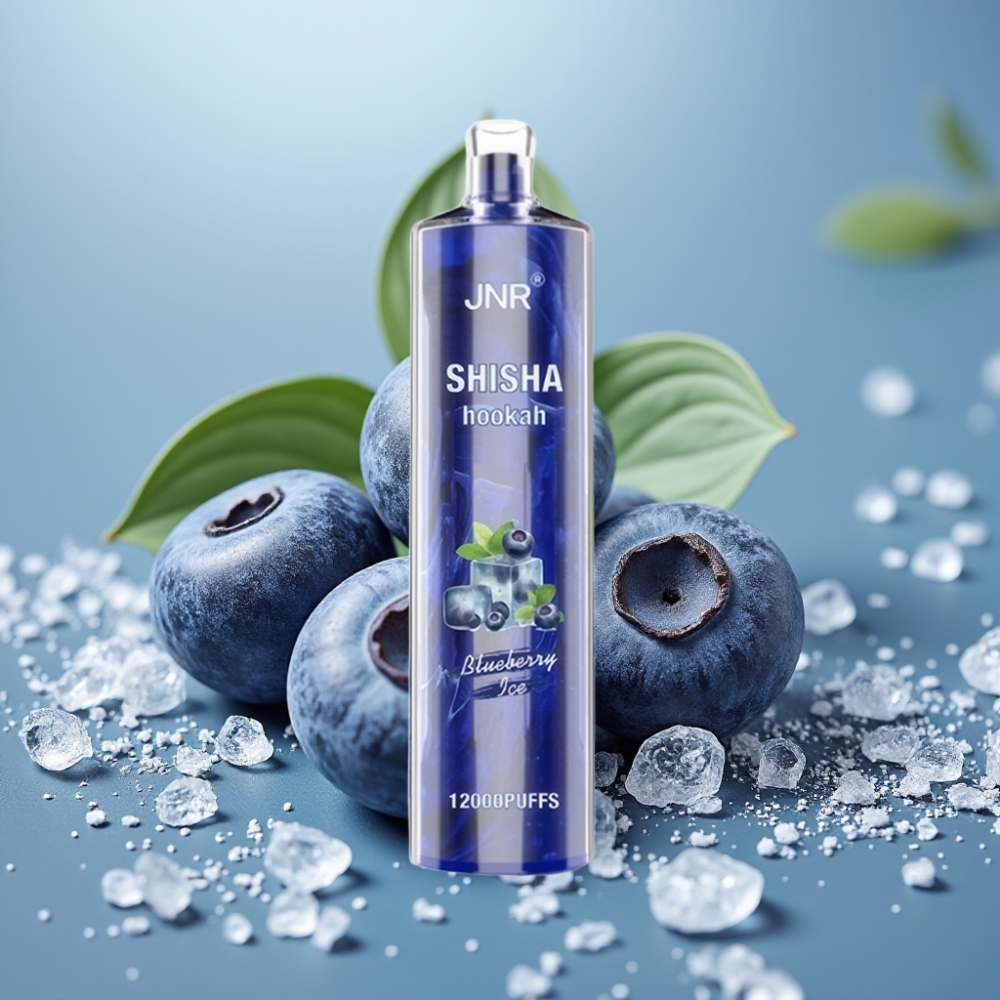 JNR Shisha Hookah 12000 Puffs 24ml 750mAh Blueberry Ice Belgie vape leverancier