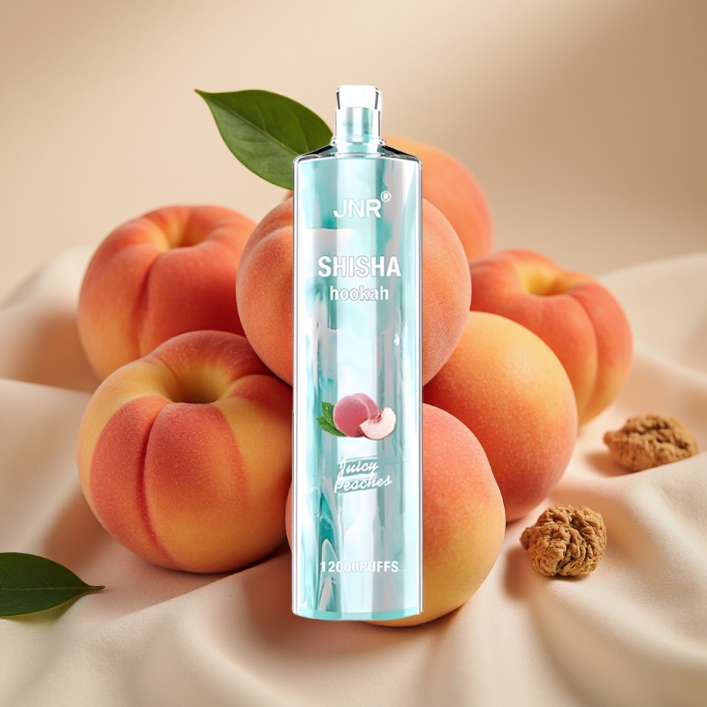 JNR Shisha Hookah 12000 Puffs 24ml 750mAh Juicy Peaches Belgie vape leverancier