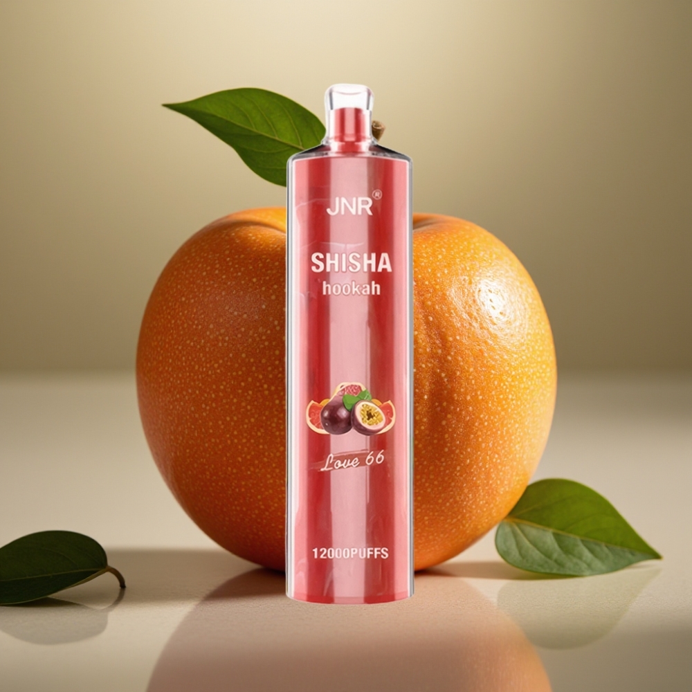JNR Shisha Hookah 12000 Puffs 24ml 750mAh Type-C Belgie vape leverancier