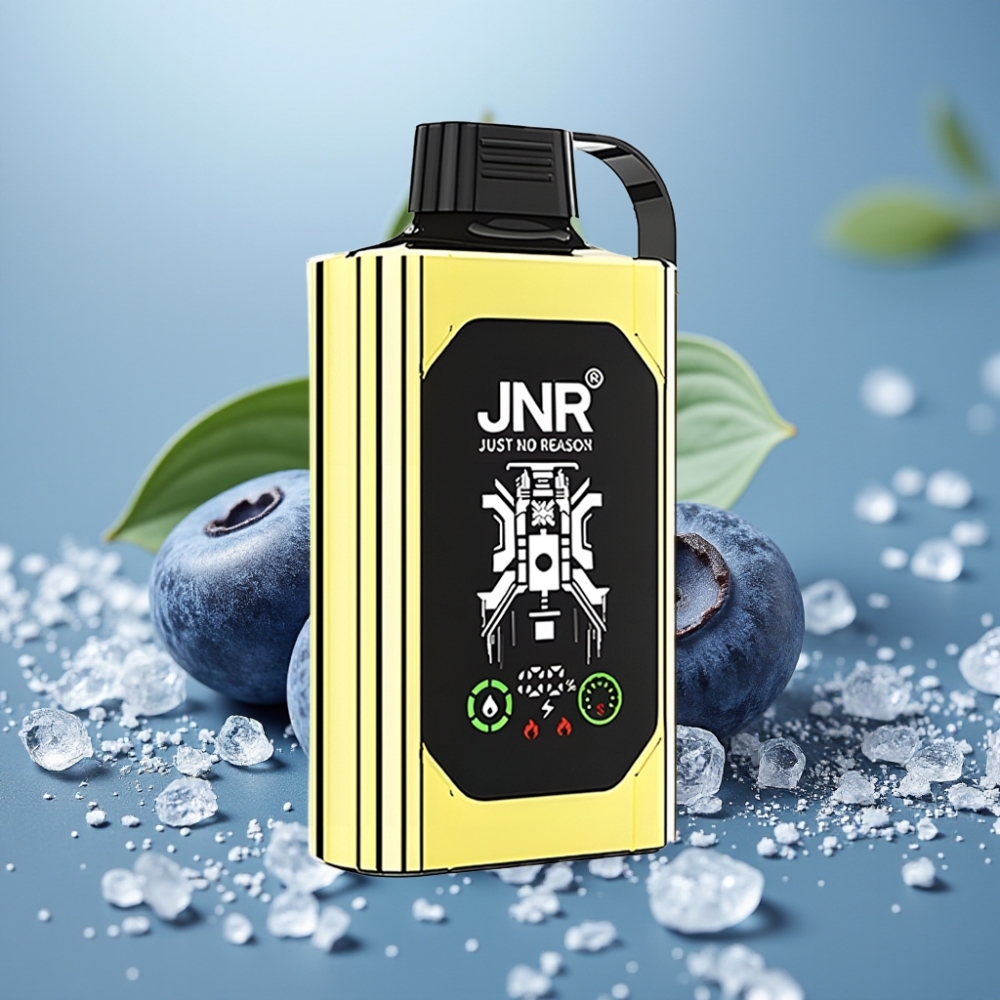 JNR Shisha Hookah Box 20500 Puffs HD Display Dual Mesh Coil Type-C Blueberry Ice