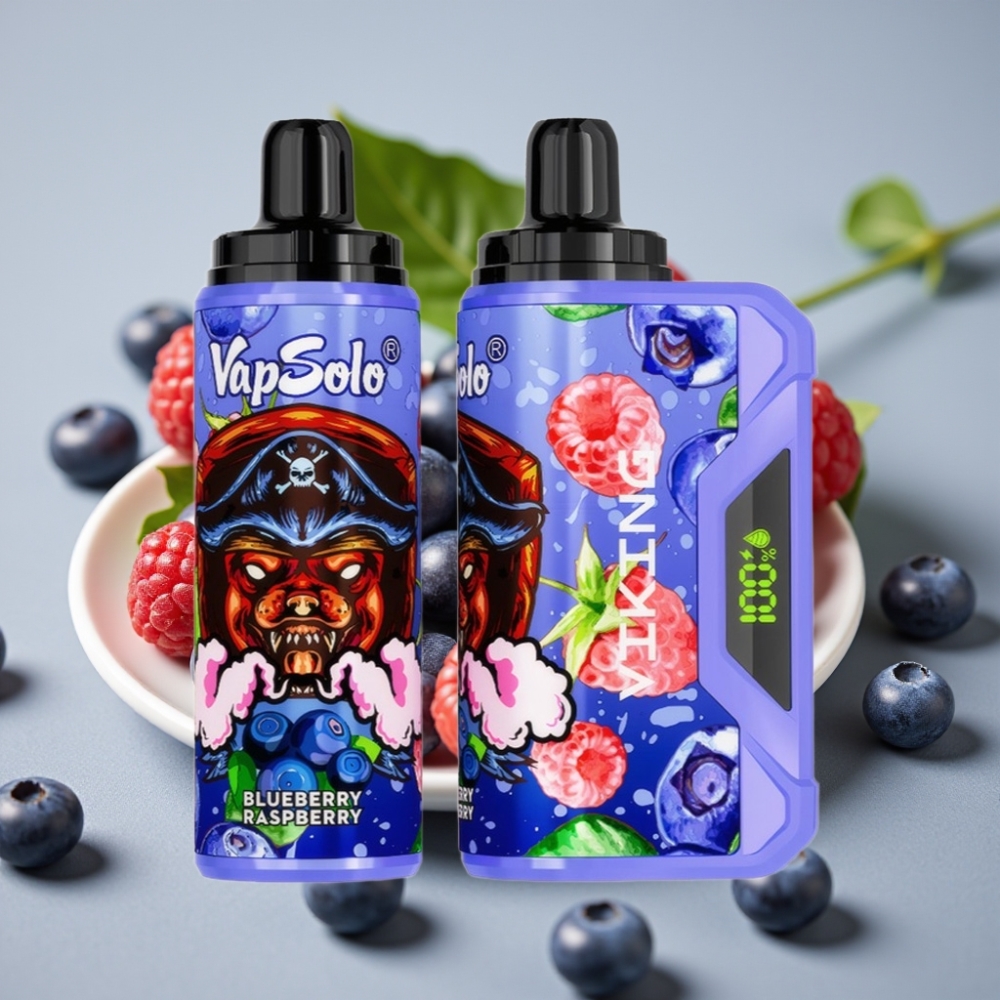 VapSolo VIKING 12000 Puffs 22ml Type-C Disposable Vape Blauwe Bes Framboos