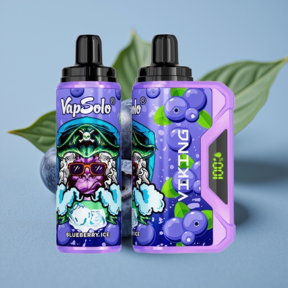 VapSolo VIKING 12000 Puffs 22ml Type-C Disposable Vape Blueberry