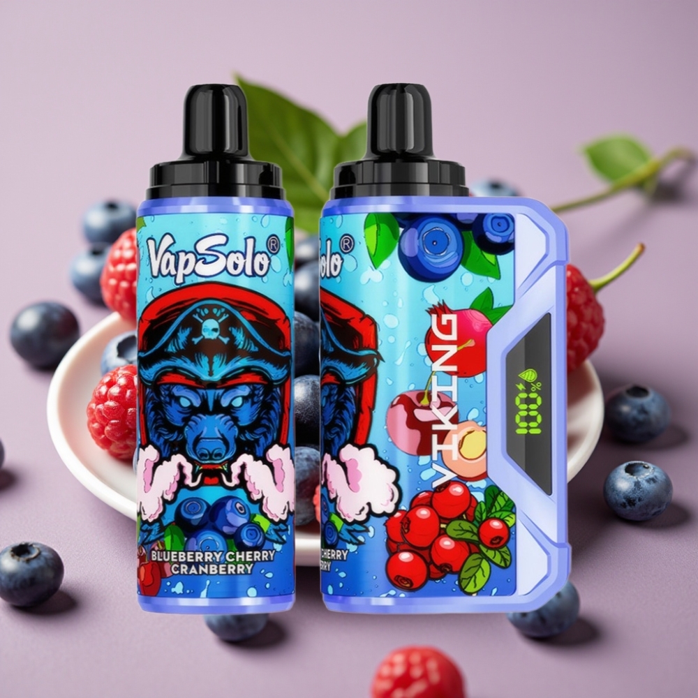 VapSolo VIKING 12000 Puffs 22ml Type-C Disposable Vape Blueberry Cherry Cranberry