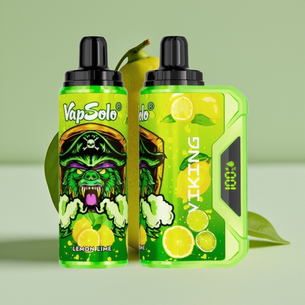 VapSolo VIKING 12000 Puffs 22ml Type-C Disposable Vape Lemon Lime