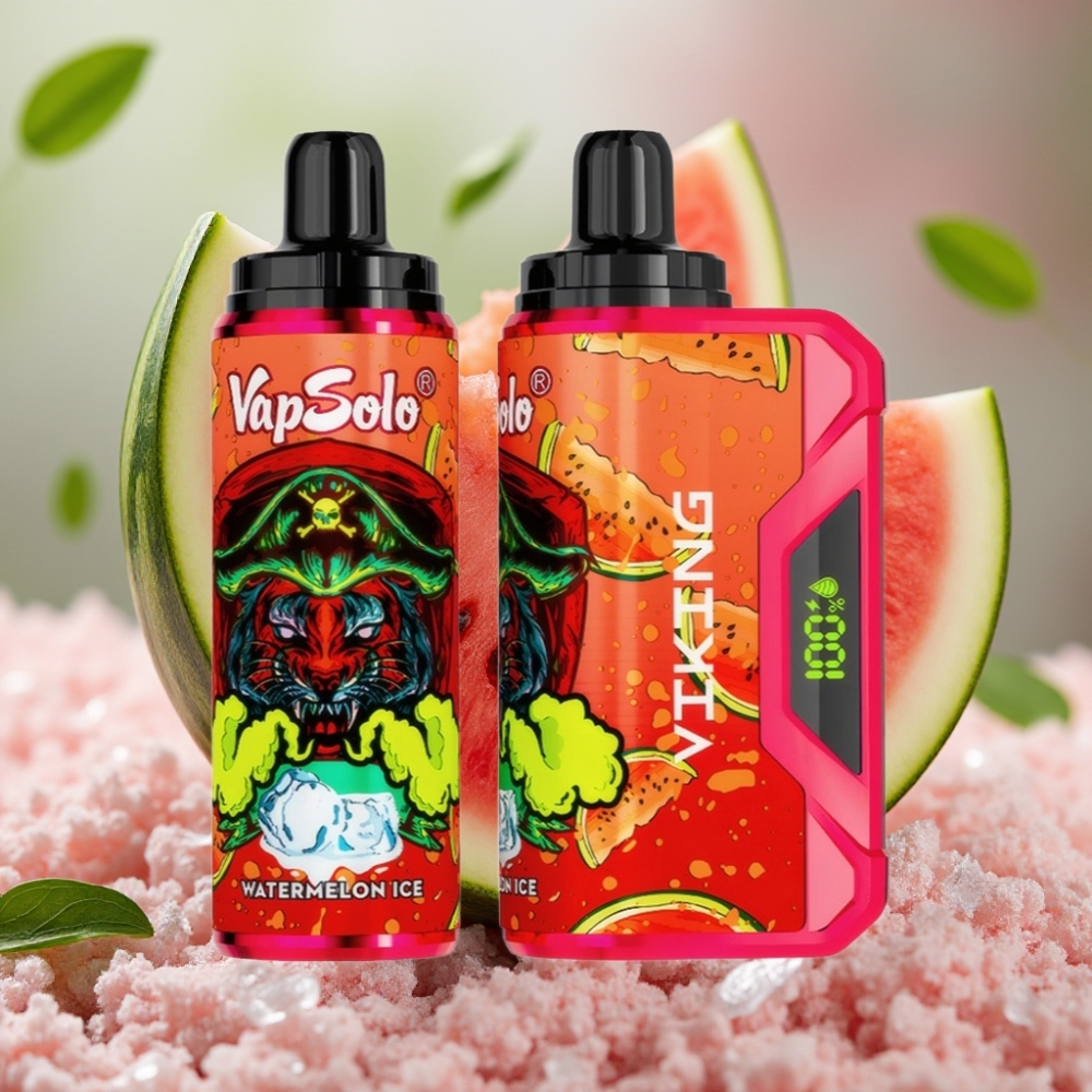 VapSolo VIKING 12000 Puffs 22ml Type-C Disposable Vape Watermeloenijs