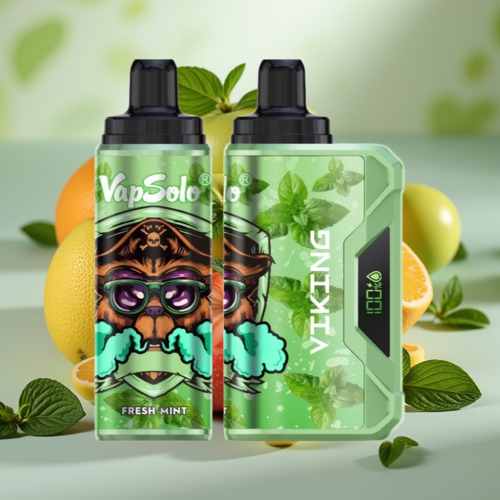 VapSolo VIKING 12000 Puffs 22ml Type-C Fresh Mint Belgie vape leverancier