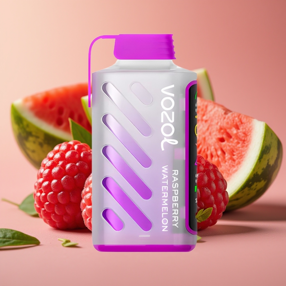 VOZOL Gear Power 20000 Puffs Dual Mesh Coil 20mL Raspberry Watermelon