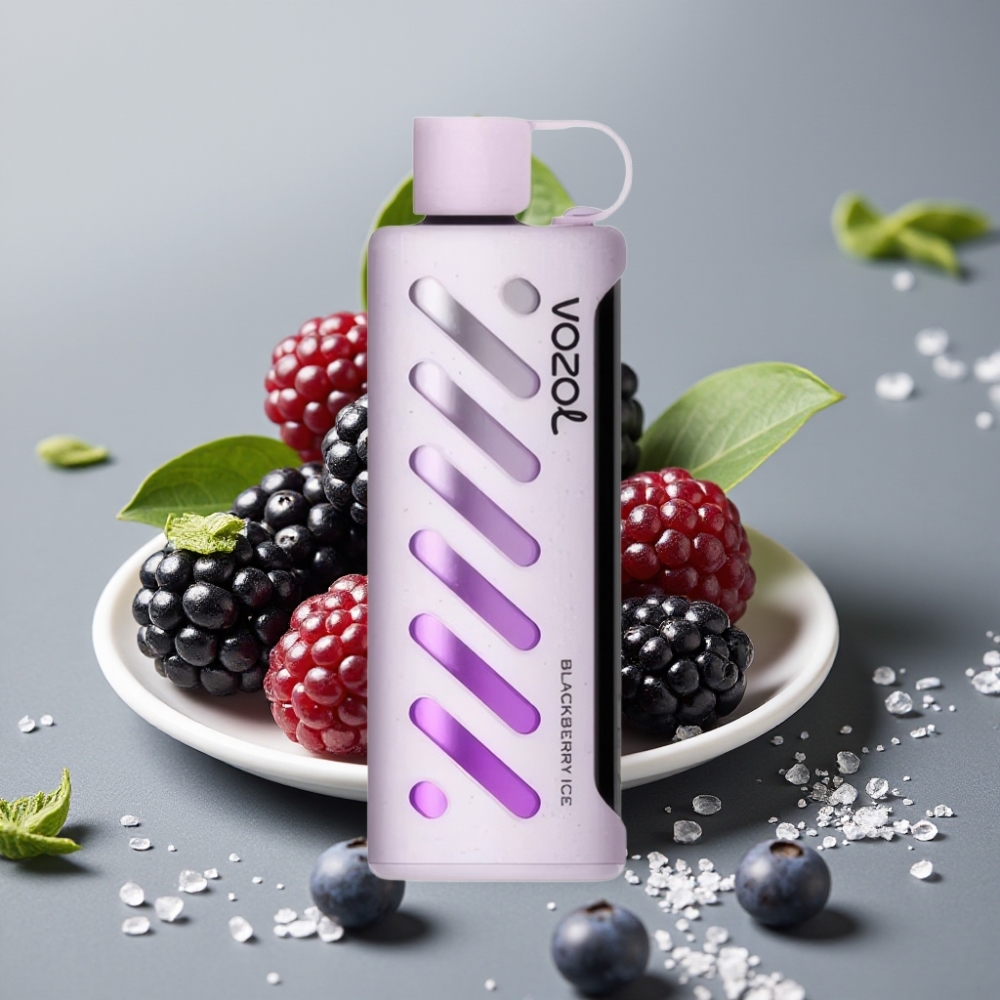 VOZOL Gear Shisha 25000 Puffs Dual Mesh 5mg Blackberry Ice
