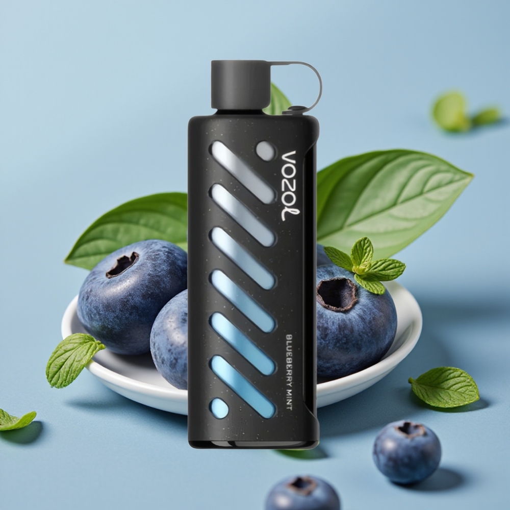 VOZOL Gear Shisha 25000 Puffs Dual Mesh 5mg/ml Blueberry Mint