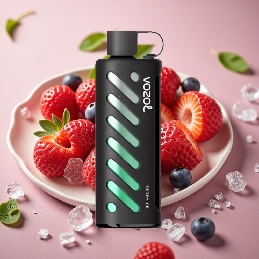 VOZOL Gear Shisha 25000 Puffs Dual Mesh Berry Ice 5mg/ml
