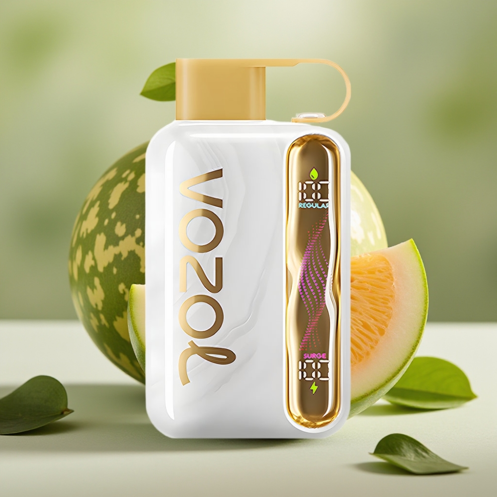 VOZOL STAR 40000 Puffs 1000mAh Type-C Melon Gum Belgie vape leverancier