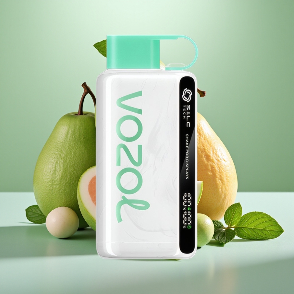 VOZOL STAR 9000/12000 Disposable Vape met S.i.L.C TECH & Snelle Oplading Cool Mint